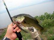 20100926bass.jpg