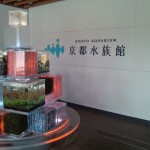 京都水族館でアジメドジョウを愛でる/いろいろ斬新